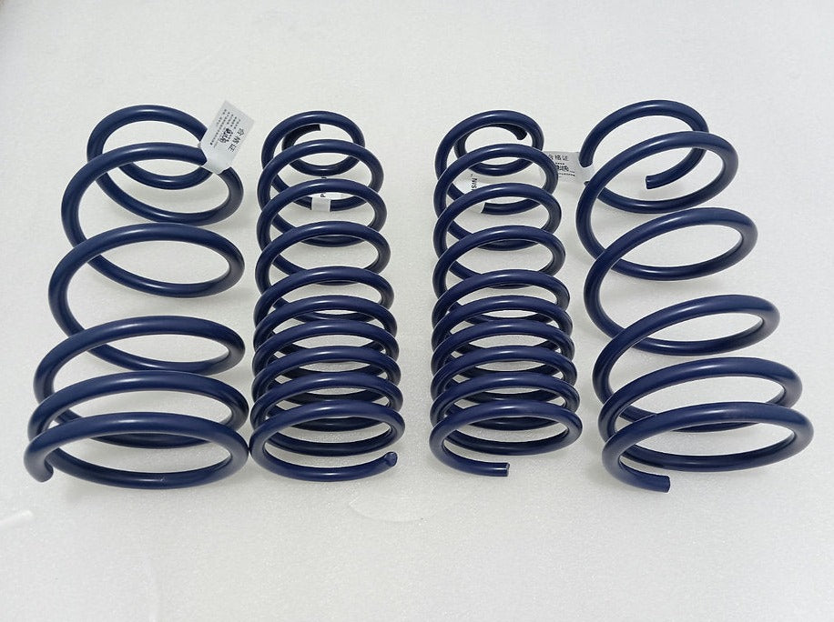 HCC Sport 40mm Lowering Springs - B2 Passat, Santana, Quantum